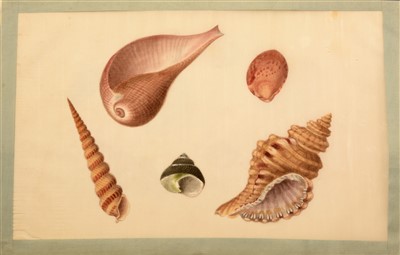 Lot 32 - Three 19th Century Chinese albums of pith paper watercolour and gouache paintings.
