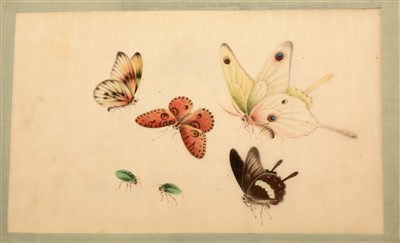 Lot 32 - Three 19th Century Chinese albums of pith paper watercolour and gouache paintings.