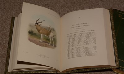 Lot 826 - Antelope Books.
