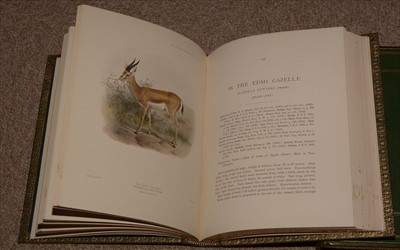 Lot 826 - Antelope Books.