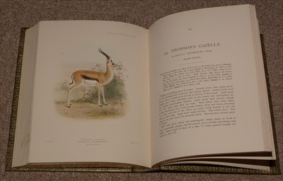Lot 826 - Antelope Books.