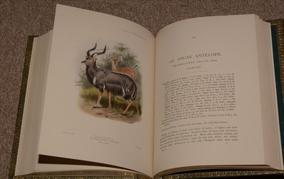 Lot 826 - Antelope Books.