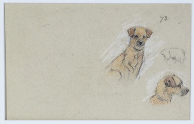Lot 92 - Attributed to George Vernon Stokes - Dog Character Studies | charcoal and pastel