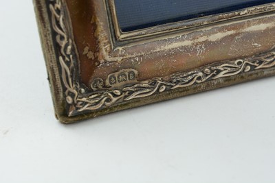 Lot 31 - Eight various silver mounted rectangular photograph frames