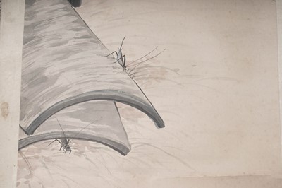 Lot 895 - Attributed to Sung-yu Wang - A picture of Autumn insects | watercolour scroll