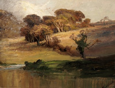 Lot 1023 - Francis "Frank" Thomas Carter - Golden sunlight on a heather-hewn landscape | oil