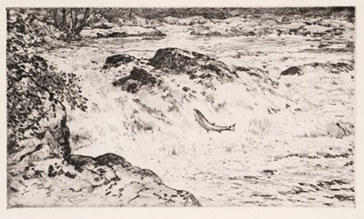 Lot 10 - David T. Robertson - Salmon Leap | etching