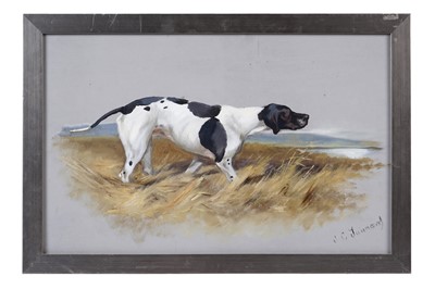 Lot 542 - John "Jack" Charles Tunnard - Study of an English Pointer | gouache and mixed media