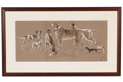 Lot 544 - John Charles Tunnard - Canine Studies | Ink wash and gouache