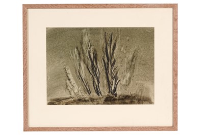 Lot 511 - John Tunnard - Untitled (tree shapes) | watercolour