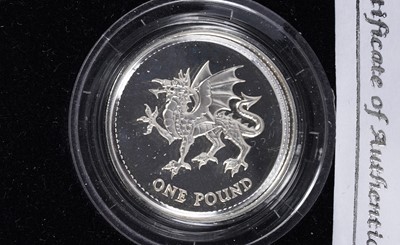 Lot 367 - A selection of United Kingdom Royal Mint silver collectors' coins