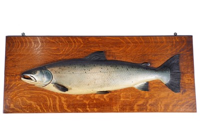 Lot 508 - A first-half 20th Century half-block trophy model of a salmon