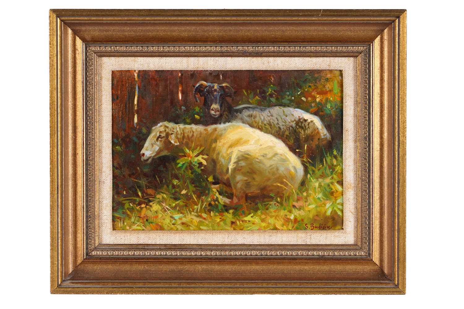 Lot 241 - Sergio Budicin - Two resting sheep | oil