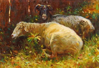 Lot 241 - Sergio Budicin - Two resting sheep | oil