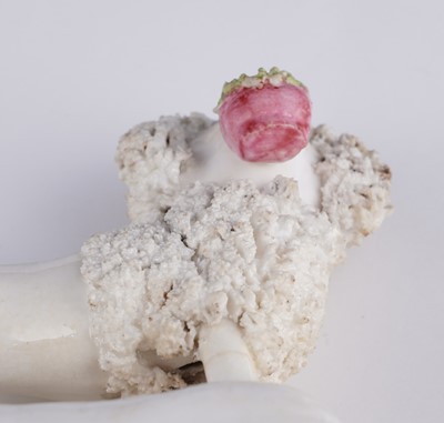 Lot 415 - Three Staffordshire poodles