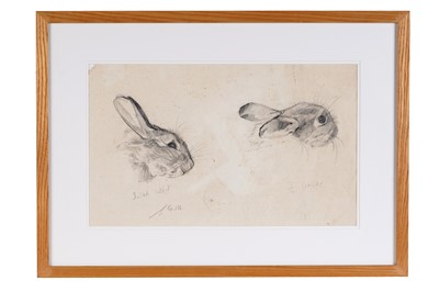 Lot 348 - Sheila Gertrude Mackie - Study of a rabbit head | pencil