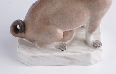 Lot 461 - A pair of continental pugs; and two others