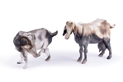 Lot 45 - Two Christine Cummings goats