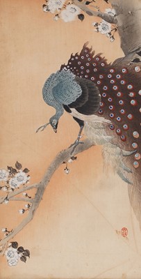 Lot 362 - Ohara Koson - A kujaku in a cherry blossom tree | woodblock print