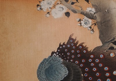 Lot 362 - Ohara Koson - A kujaku in a cherry blossom tree | woodblock print