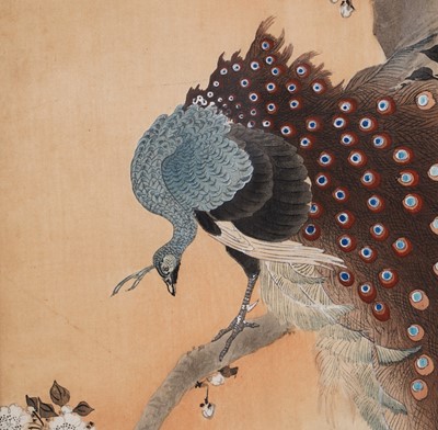 Lot 362 - Ohara Koson - A kujaku in a cherry blossom tree | woodblock print