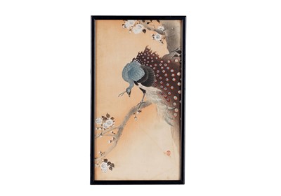 Lot 362 - Ohara Koson - A kujaku in a cherry blossom tree | woodblock print