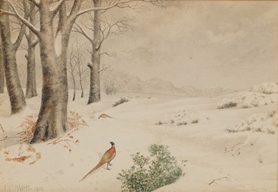 Lot 397 - James Chalmers Park - Pheasant in Winter | watercolour