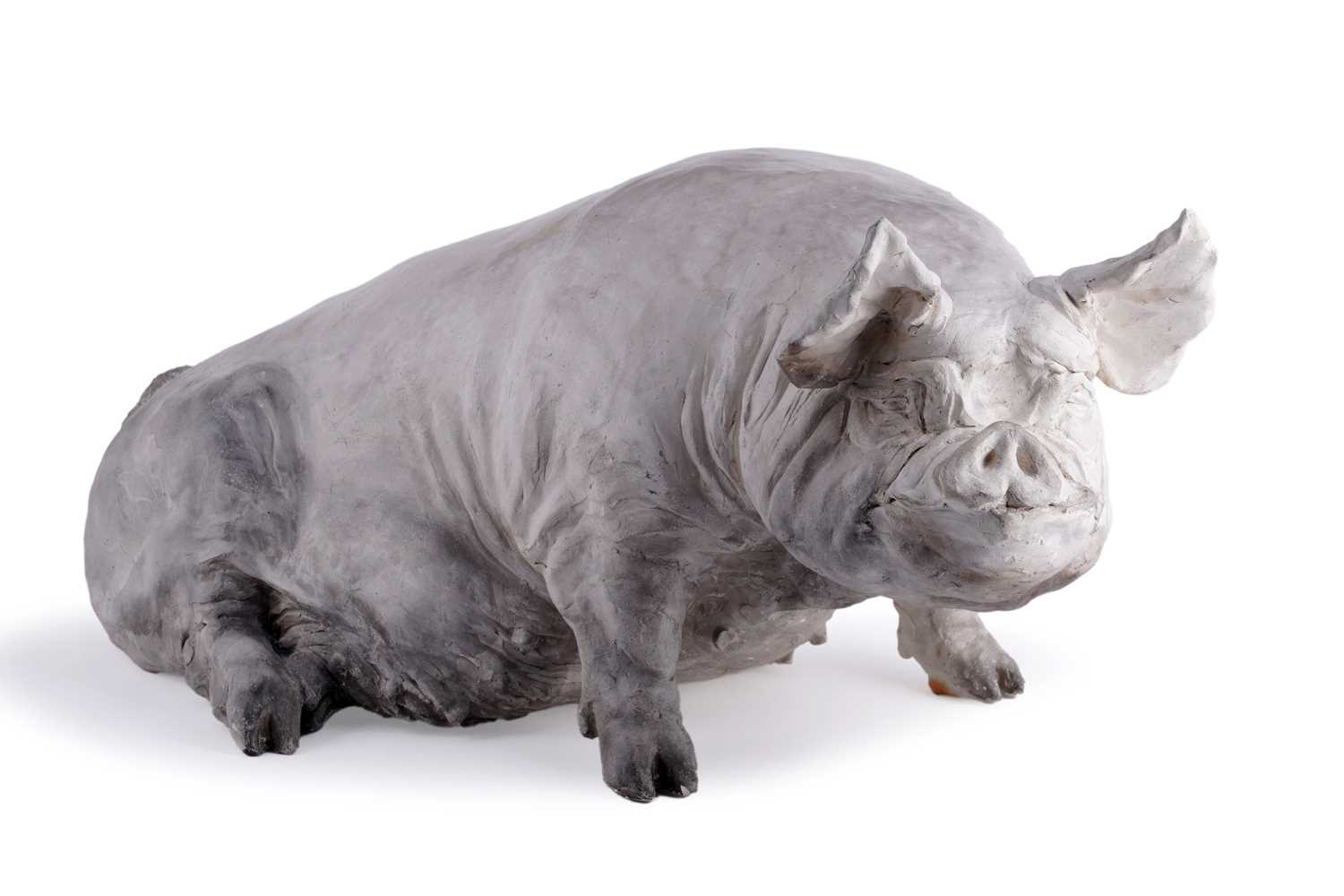Lot 46 - A Christine Cummings Middle White sow