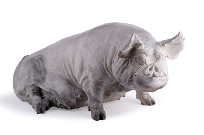 Lot 46 - A Christine Cummings Middle White sow