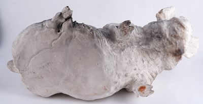 Lot 46 - A Christine Cummings Middle White sow