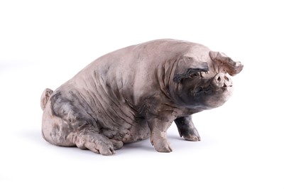 Lot 47 - A Christine Cummings sow