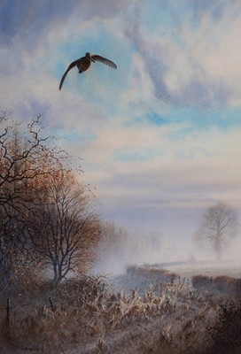 Lot 247 - Peter Allis - A woodcock in flight above the mist | watercolour