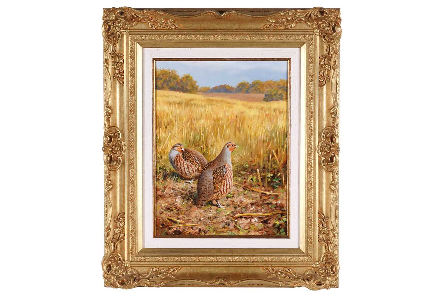 Lot 244 - Rodger McPhail - Two Partridges | oil