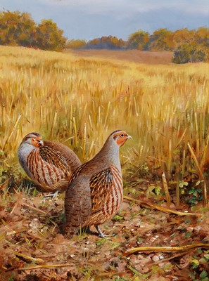 Lot 244 - Rodger McPhail - Two Partridges | oil