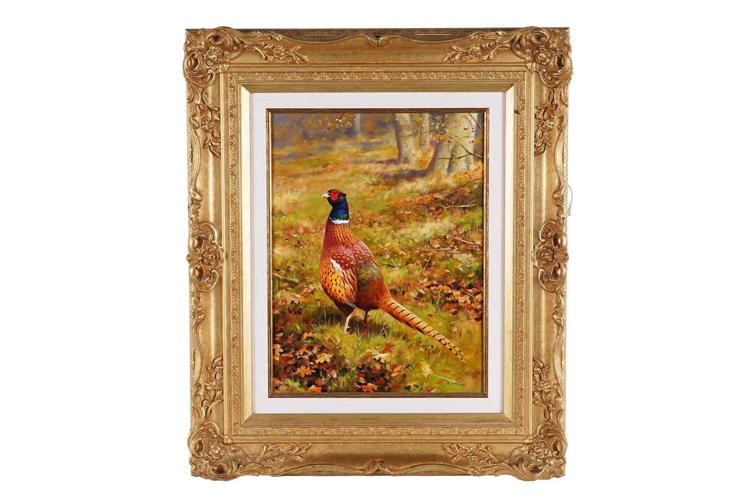 Lot 243 - Rodger McPhail - Pheasant | oil
