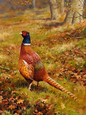 Lot 243 - Rodger McPhail - Pheasant | oil