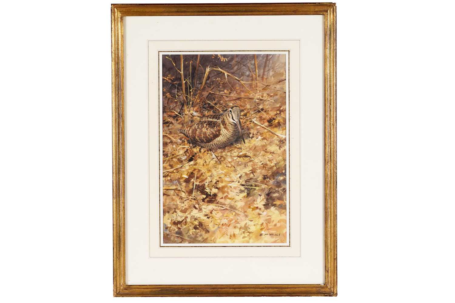 Lot 245 - Rodger McPhail - Autumn Woodcock | watercolour