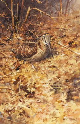 Lot 245 - Rodger McPhail - Autumn Woodcock | watercolour