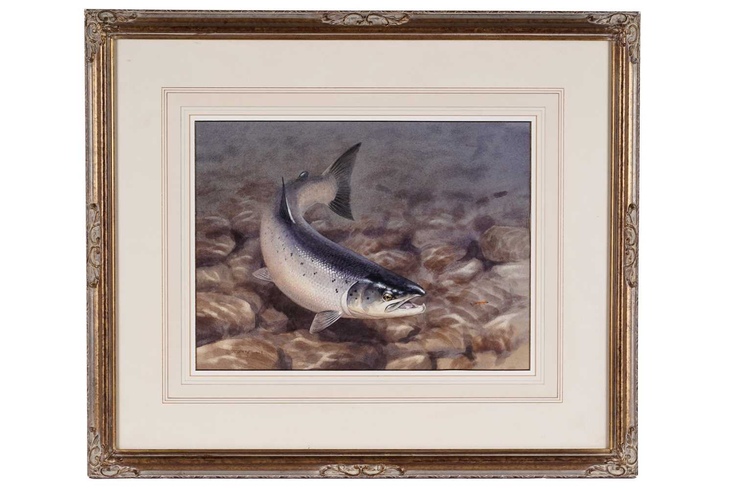 Lot 246 - Rodger McPhail - Salmon chasing a fly | watercolour