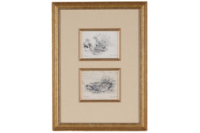 Lot 45 - James Alder - Two studies of partridges | pencil