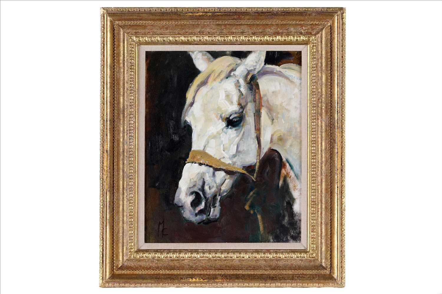 Lot 252 - Malcolm Coward - Study of a cremello horse head | oil