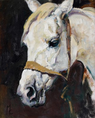 Lot 252 - Malcolm Coward - Study of a cremello horse head | oil