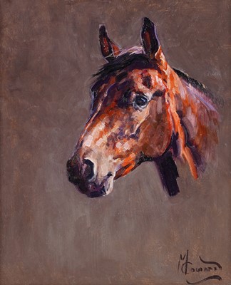 Lot 254 - Malcolm Coward - Study of a horse head | oil