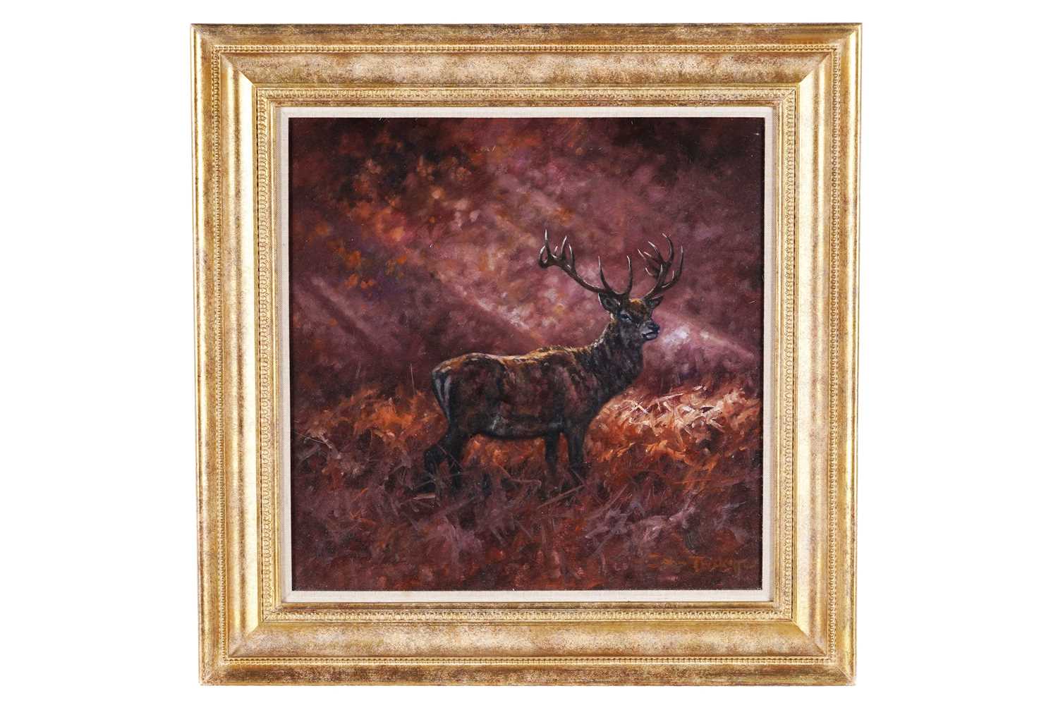 Lot 258 - John Trickett - Stag in light | oil