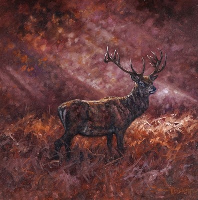 Lot 258 - John Trickett - Stag in light | oil