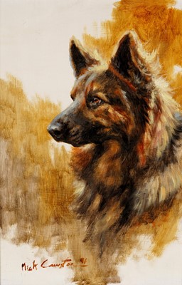 Lot 248 - Mick Cawston - Long Haired German Shepherd | oil