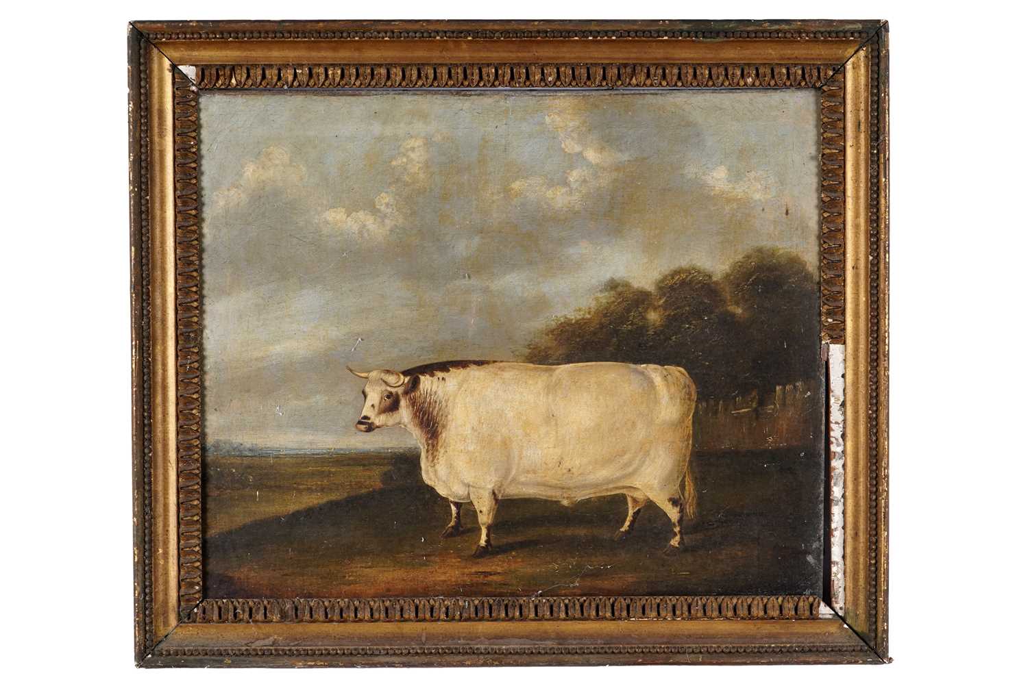 Lot 238 - 19th Century English School - The Prize Bull | oil