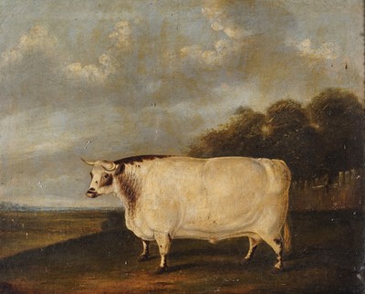 Lot 238 - 19th Century English School - The Prize Bull | oil