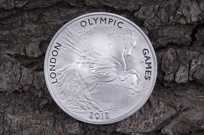 Lot 83 - Royal Mint Queen Elizabeth II silver Official London 2012 5oz Coin