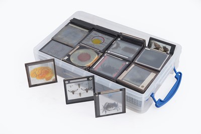 Lot 457 - A large collection of early 20th Century glass Magic Lantern slides; and a ‘Optiscope’ projector